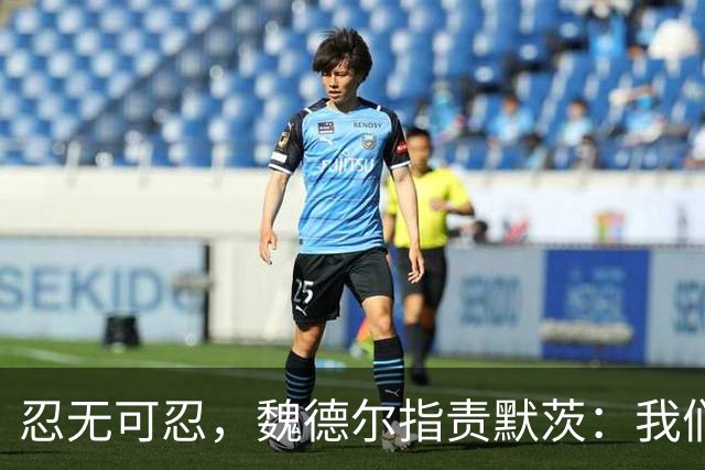 忍无可忍，魏德尔指责默茨：我们自己都没钱花了，你装什么大款？