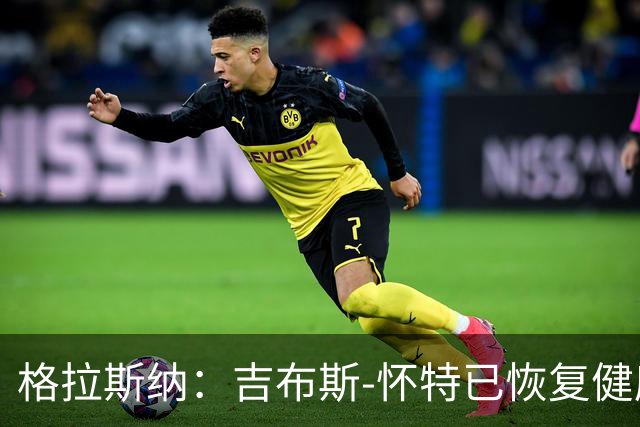 格拉斯纳：吉布斯-怀特已恢复健康，米伦科维奇也能首发