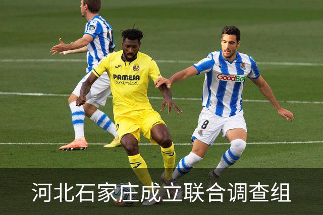 河北石家庄成立联合调查组