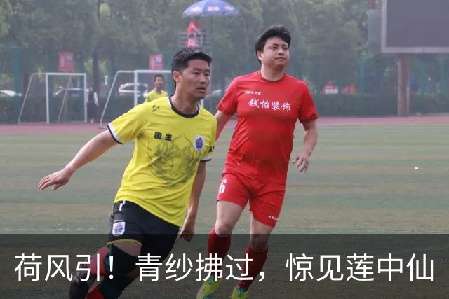 荷风引！青纱拂过，惊见莲中仙