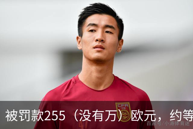 被罚款255（没有万）欧元，约等于C罗几秒钟的工资？