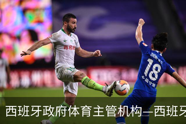 西班牙政府体育主管机构—西班牙体育理事会主席公开要求西甲主席特瓦斯，向皇马道歉