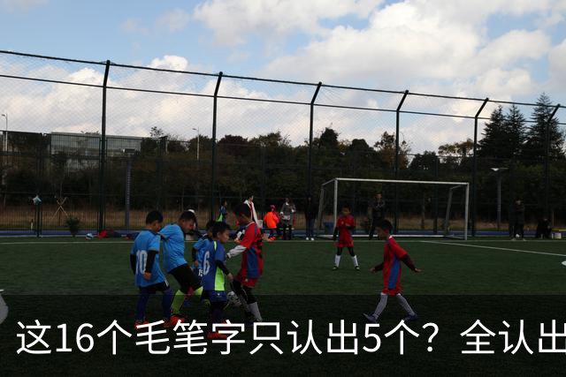 这16个毛笔字只认出5个？全认出的绝非等闲之辈！书法方圆并用有黄金比例吗？