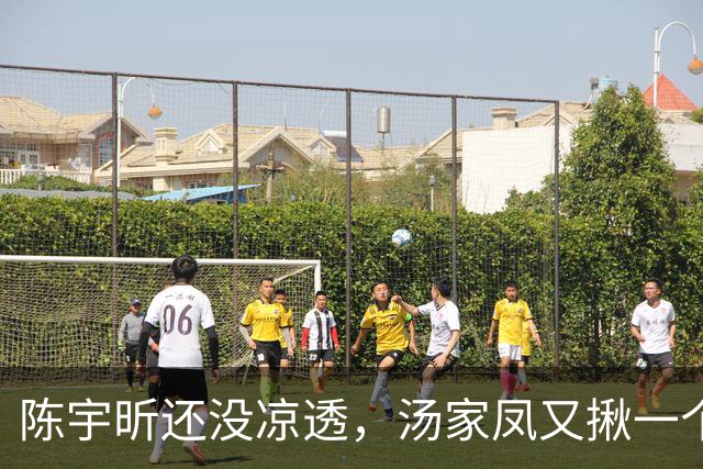 陈宇昕还没凉透，汤家凤又揪一个“精日”人员：竟然还是公司老板
