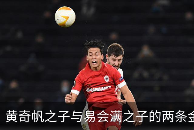 黄奇帆之子与易会满之子的两条金融路径