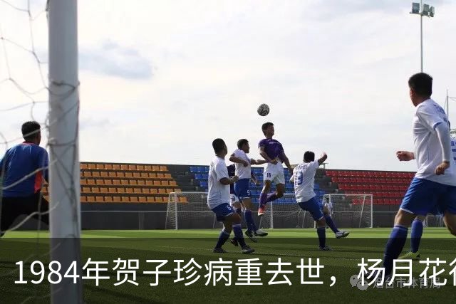 1984年贺子珍病重去世，杨月花得知后追问舅舅：两点令我难以理解？