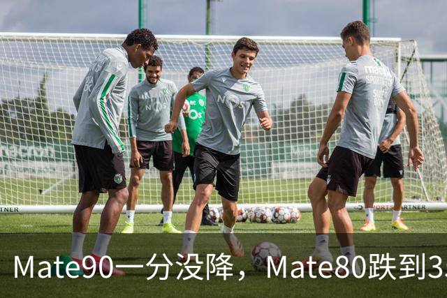 Mate90一分没降，Mate80跌到3599元：双11买华为优先看这三款